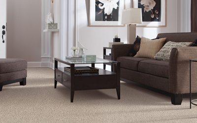 Guide to the Best Soft Carpet