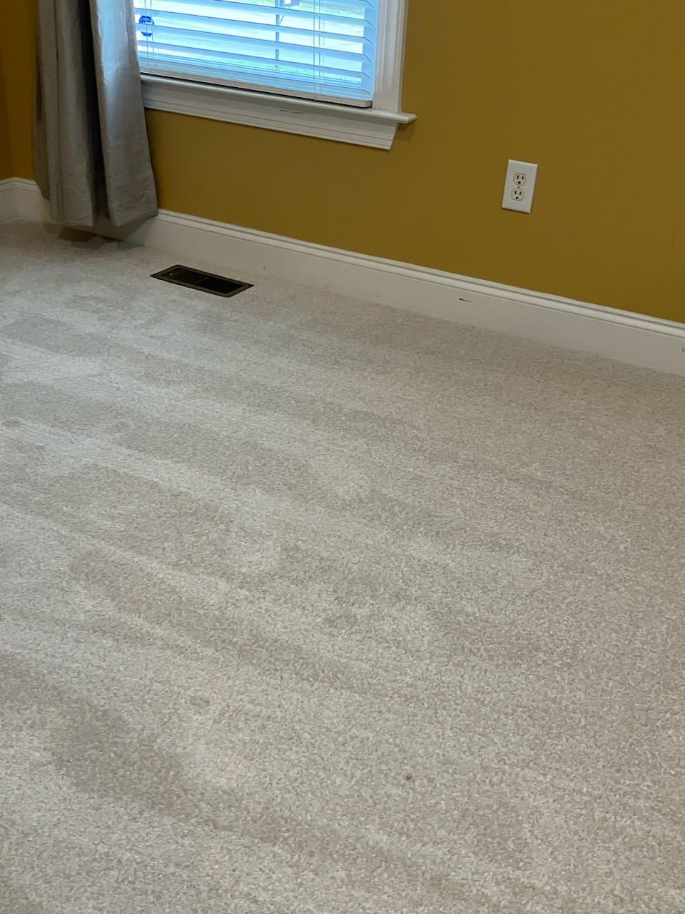 Carpet Companies in Brentwood