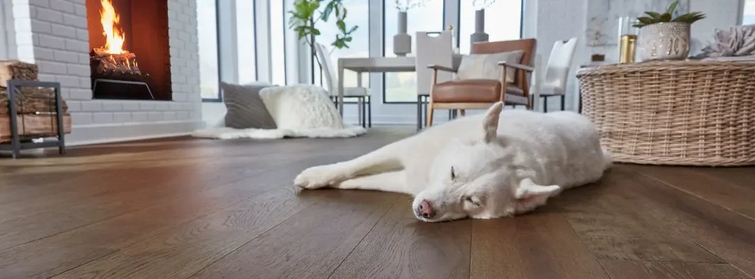 The Best Engineered Flooring for Homes With Pets