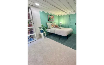 Turn One Room Into Two With Pet-Friendly Carpet