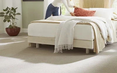 Best Carpet Colors for Room Ambiance