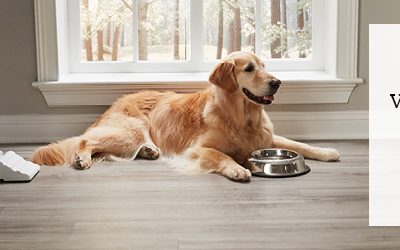 What Is the Best Pet-Friendly Vinyl Floor?