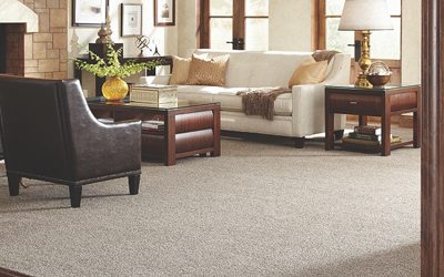 How to Remove Most Carpet Stains